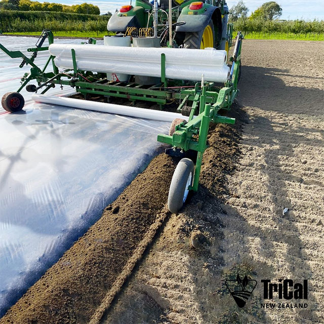 Precision Soil Fumigation for Long-Term Orchard Health