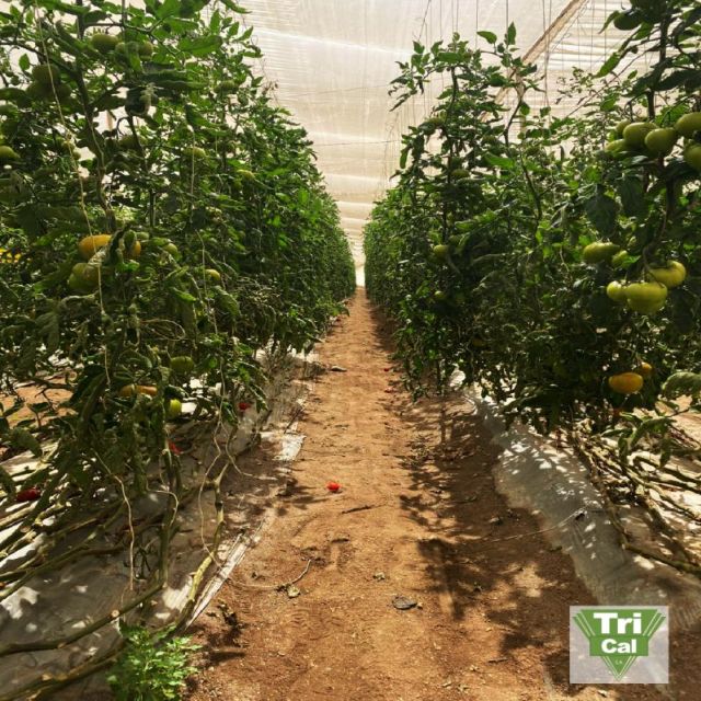 Quality that is Built from the Ground Up! 