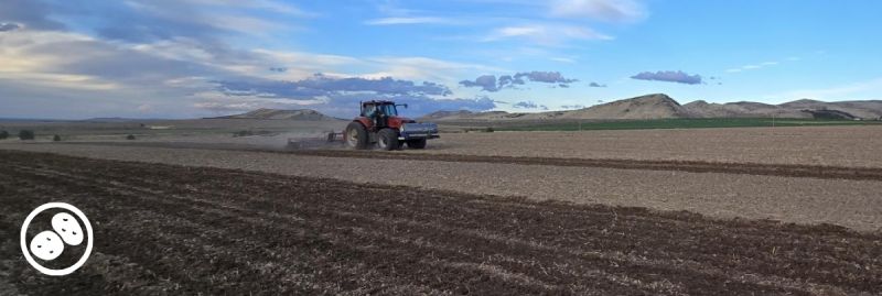Eastern Idaho Potato Trial is Underway