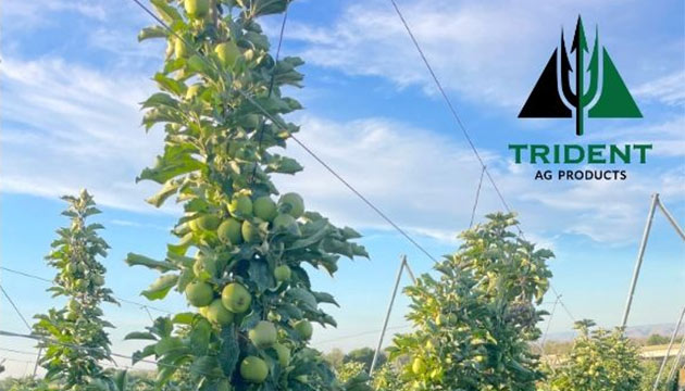 Is Your Orchard Powered by Pic?