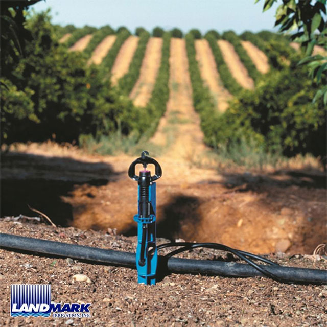 Netafim sprinklers in Landmark Custom Solutions