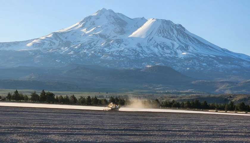 29th Season of Fumigation at Shastina Ranch