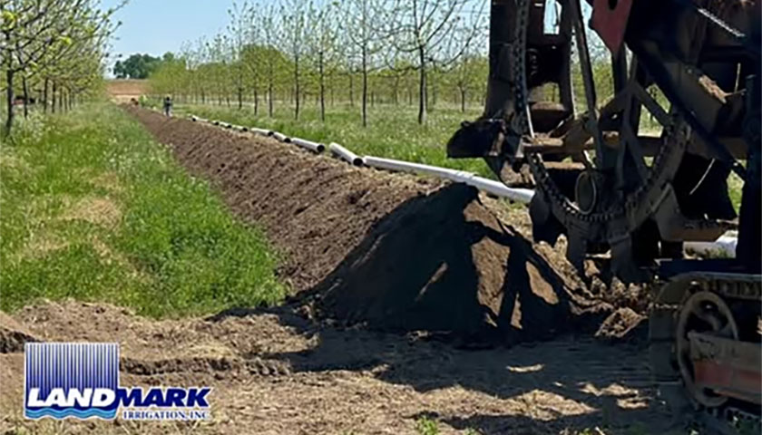 Sprinkler Irrigation near Knights Landing, CA