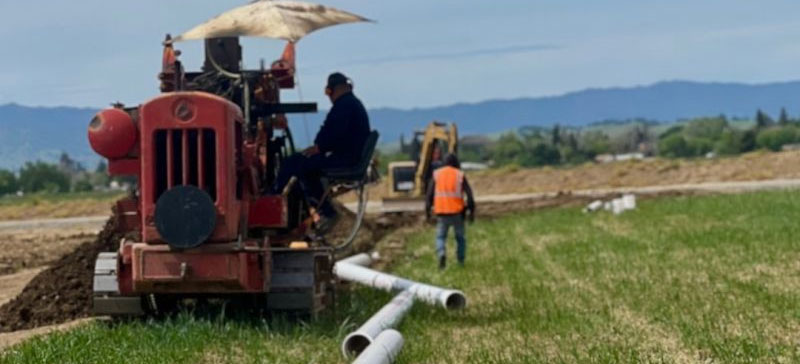 Landmark Irrigation Supports Healthy Pecan Trees