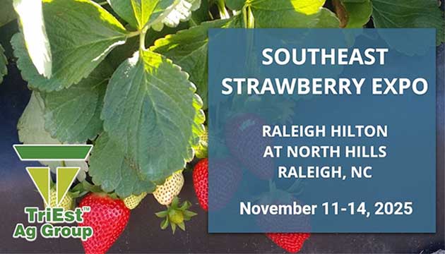 Triest Visits Southeast Strawberry Expo