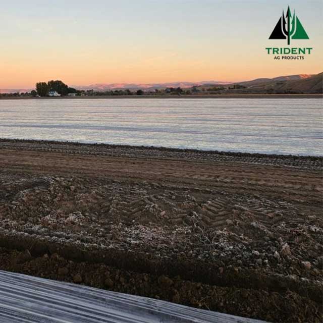 Trident Ag Delivers Trusted Soil Fumigation