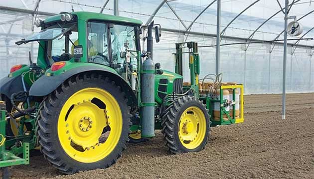 Fresh Greens Start with Healthy Soil 