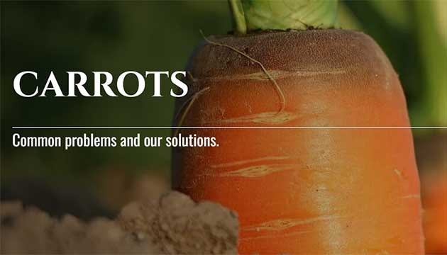 Carrot Growers are Prepping with TELONE™ by Teleos