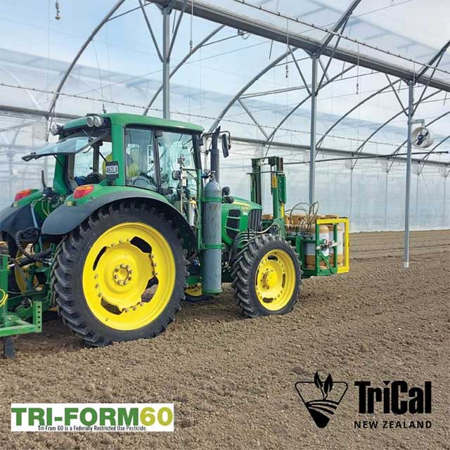 Fresh Greens Start with Healthy Soil 