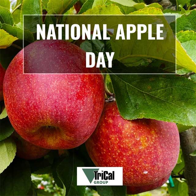 TriCal Celebrates National Apple Day