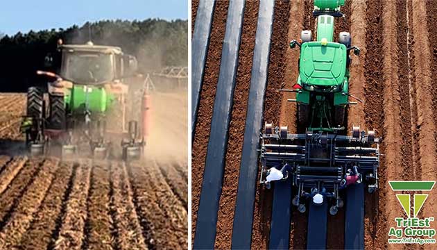 Soil Health = Success of your Crops