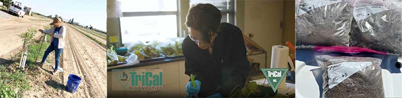 Expertise That Goes Beyond Testing