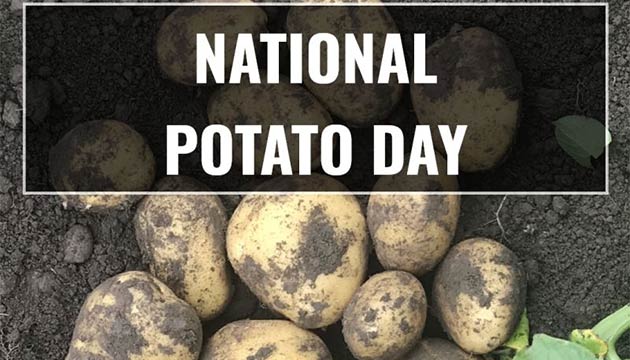 National Potato Day - August 19th!