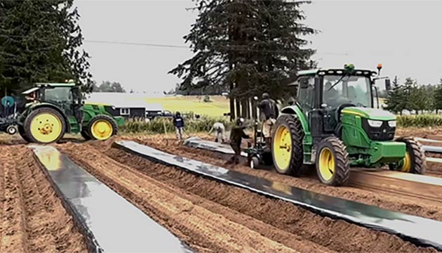 Soil Fumigation | Lynden, Washington