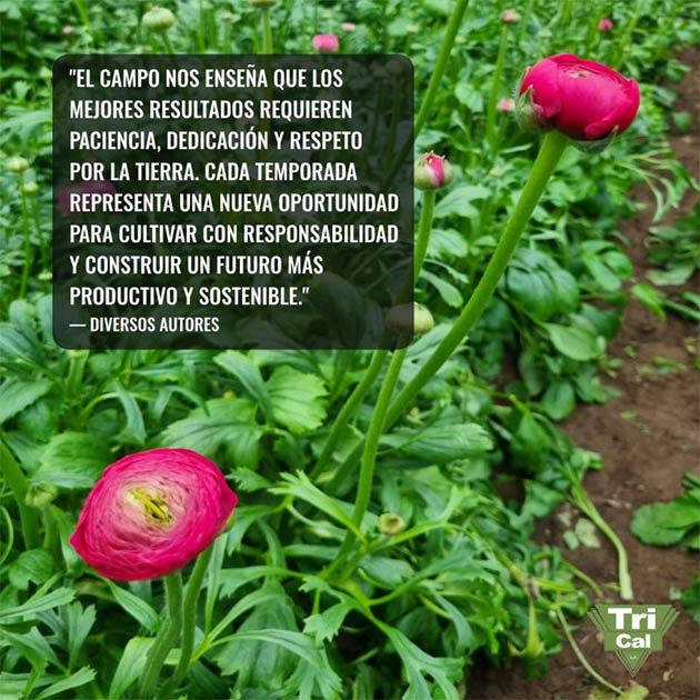 Sustainable Agriculture | South America