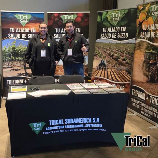 TriCal Sudamérica | Member of the TriCal Group