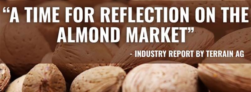 Almond Industry is Moving Toward Greater Stability