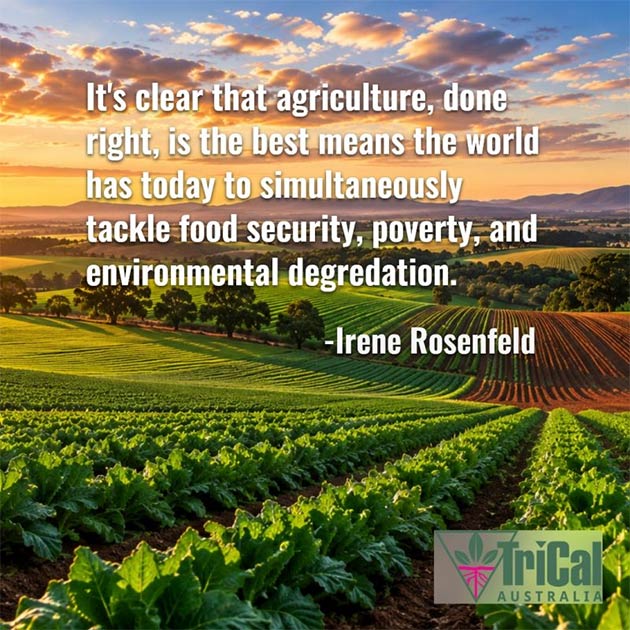 Sustainable Farming | Australia