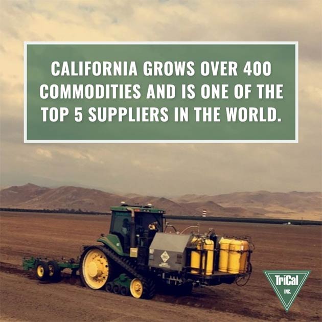 California Agriculture