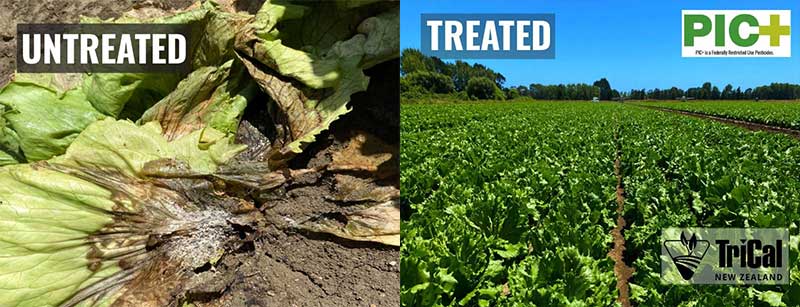 Healthy Crops Start with Proactive Soil Management. 