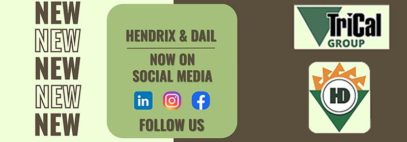 Hendrix & Dail New Presence on Social Media