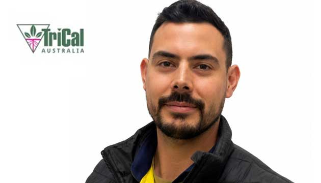 Meet George Kirgianis | TriCal Australia