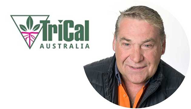 Meet Steve Miller | TriCal Australia