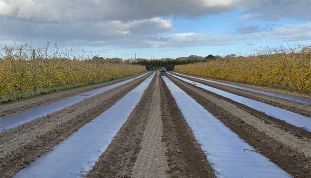 Apple Orchards | New Zealand