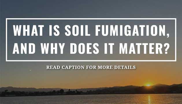 What Is Soil Fumigation, and Why Does It Matter?