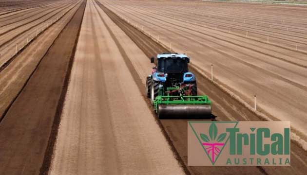 Soil Fumigation | Australia