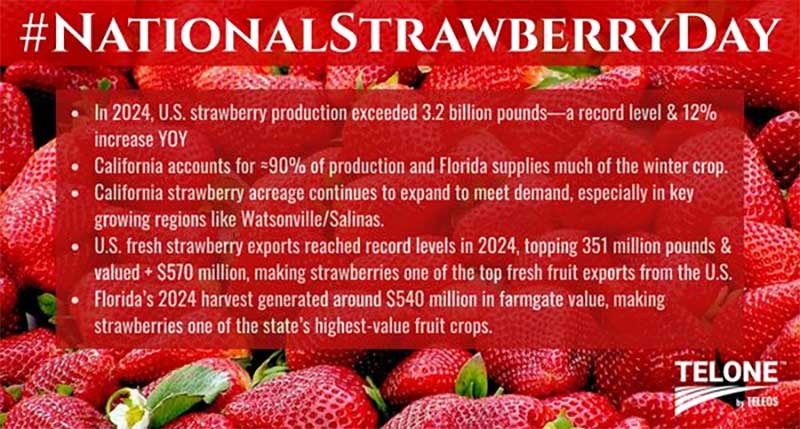 National Strawberry Day