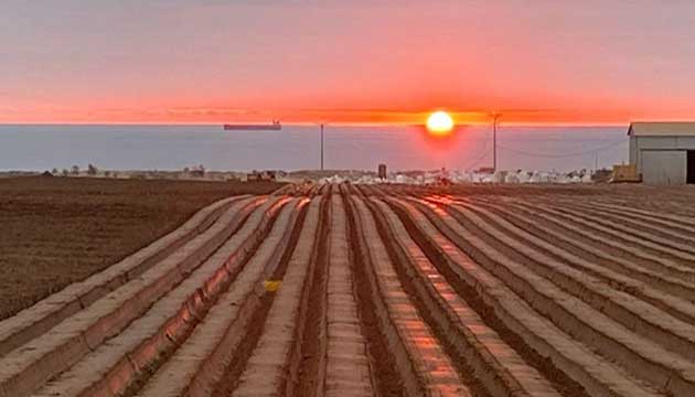 Soil Preperation | Agrícola La Alpina, La Serena