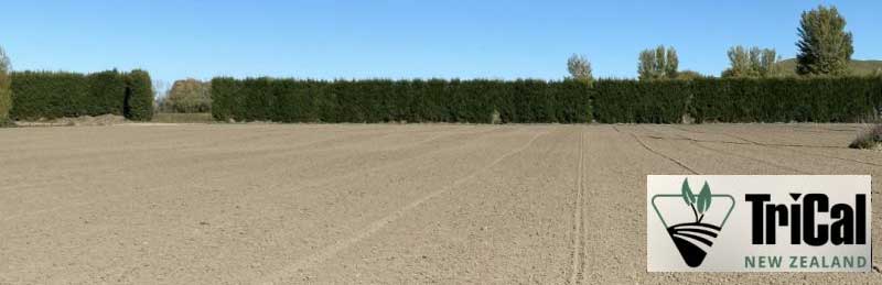 Effective Farmland Preparation | New Zealand