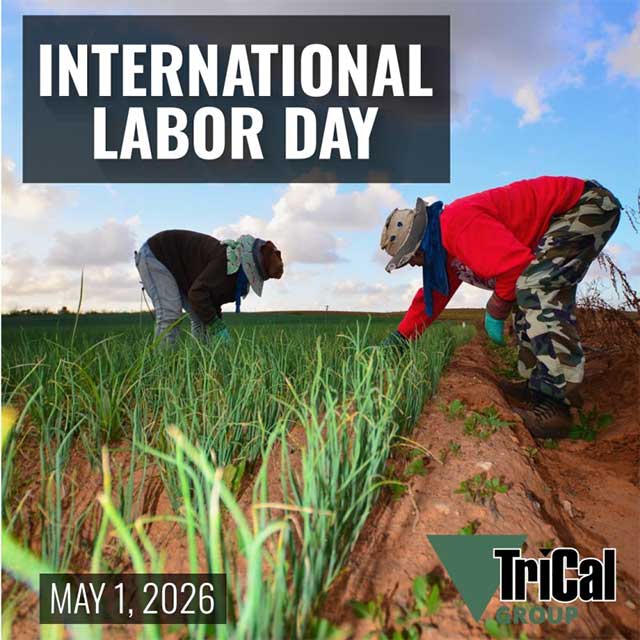 International Labor Day