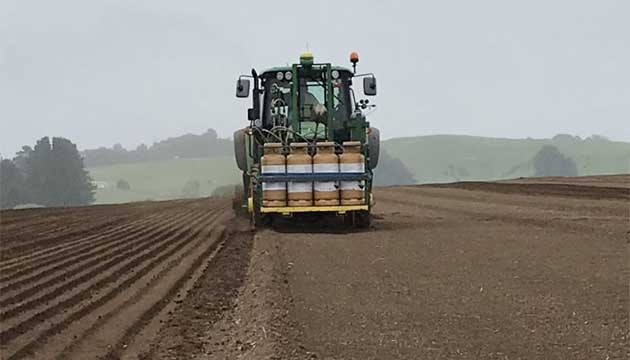 Carrots | Soil Preparation | New Zealand