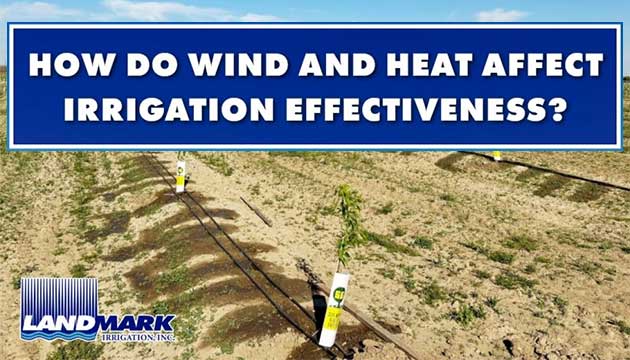  How Do Wind and Heat Affect Irrigation Effectiveness?