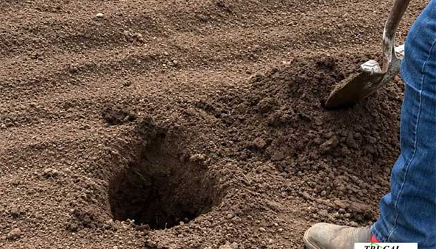 Soil Analysis | Baja California, Mexico