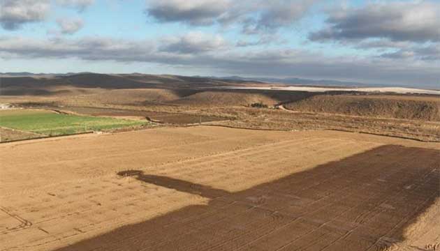 Irrigation Management | Baja California
