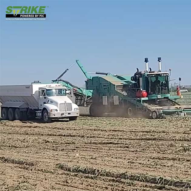 From the Field to Harvest | Part 1 OF 3