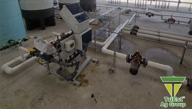 Greenhouse Tech | TriEst Ag Group
