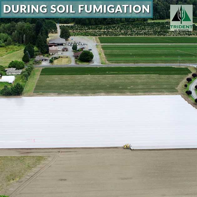 From Field Prep to Soil Fumigation