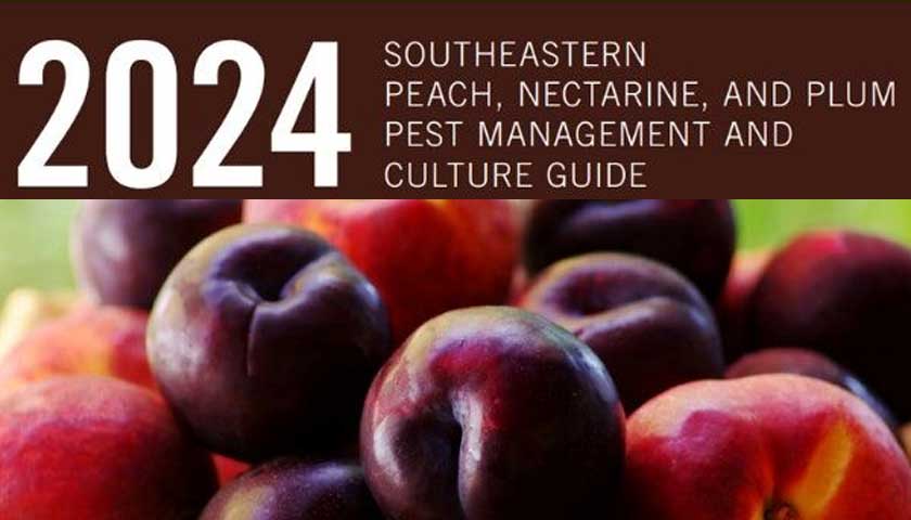 Southeastern Peach, Nectarine, and Plum Pest Management and Culture Guide