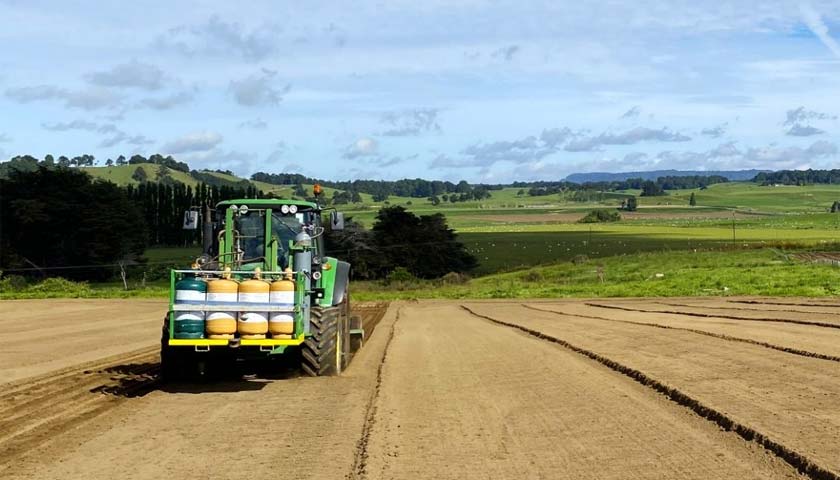 Fumigation for Healthier Carrot Crops!