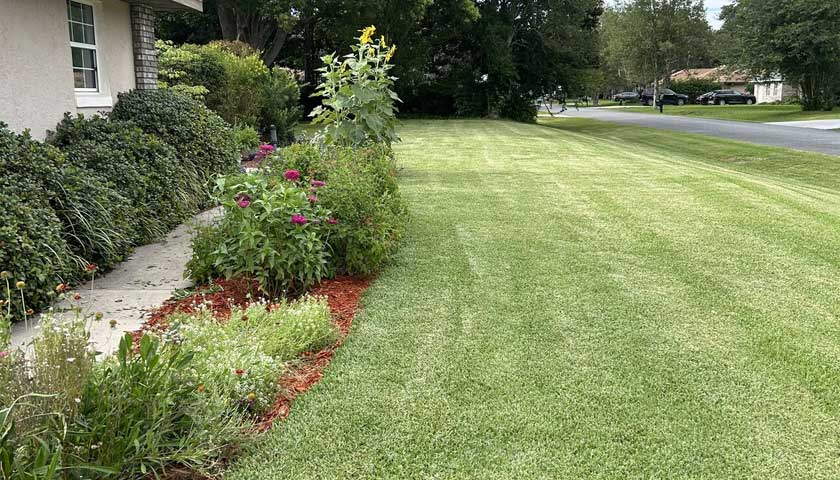 John Washington Shares the Secrets of Lawn Care