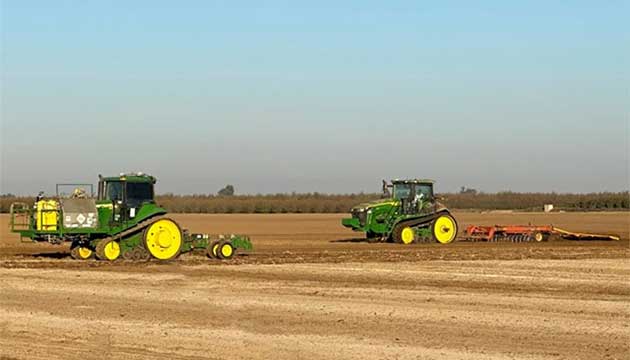 Healthy Soil Builds Healthy Trees