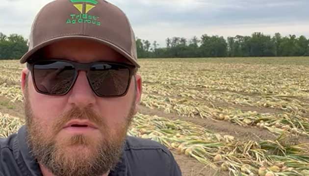  2025 GA Onion Trial