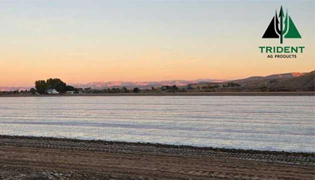 Trident Ag Delivers Trusted Soil Fumigation