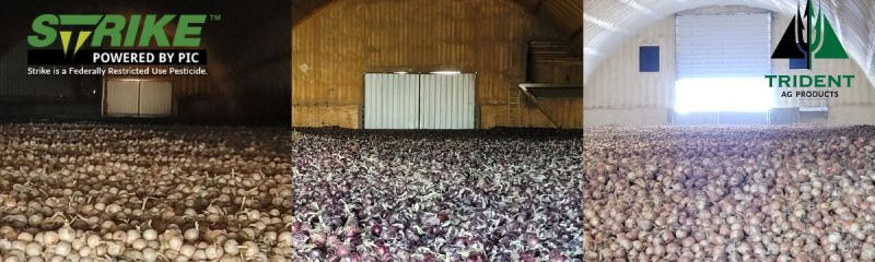 Whether Red, White, or Yellow, Strike™ helps Set your Onions
