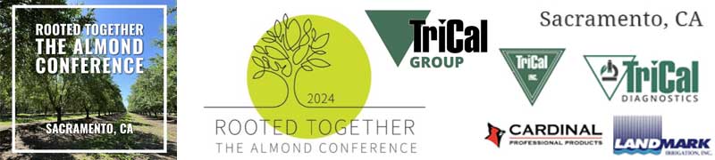 Rooted Together - The Almond Conference