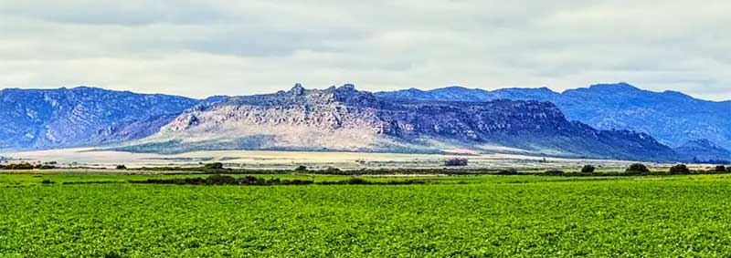 From South Africa to Canada: Four Lessons on Soil Fumigation From South Africa to Canada: Four Lessons on Soil Fumigation